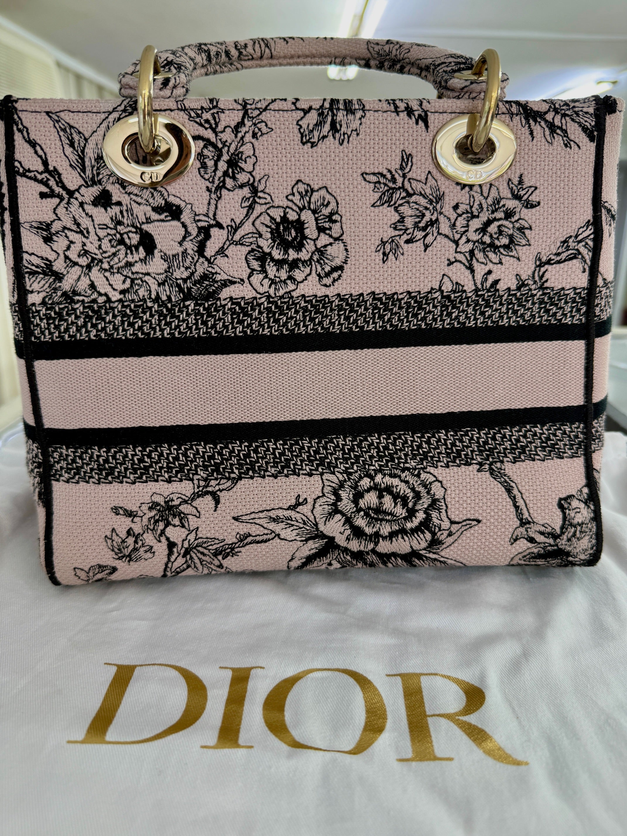 Dior Lady D lite Pink